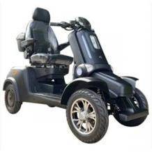 For Motion Forty-5 45km/h